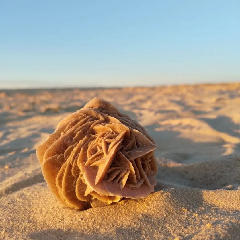 Rose De Sable Sahara D Sert Tunisie Sud Tunisie