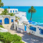 Bienvenue dans un voyage enchanteur où les rues pavées se mêlent à la douce brise méditerranéenne, et les façades blanches éclatent de bougainvilliers aux couleurs vives. L'excursion à Sidi Bou Saïd promet une expérience sensorielle où chaque coin raconte une histoire vieille de plusieurs siècles. L'Art de Sidi Bou Saïd Une Palette de Couleurs Sidi Bou Saïd est une toile vivante, une explosion de teintes qui charment les visiteurs dès le premier regard. Les nuances de bleu et de blanc créent une symphonie visuelle, faisant de chaque rue une œuvre d'art à part entière. Le Café des Délices : Une Pause Gourmande Savourez le Moment Un incontournable de Sidi Bou Saïd est le légendaire Café des Délices. Installez-vous en terrasse, commandez un thé à la menthe et laissez-vous imprégner par l'atmosphère détendue tout en admirant la vue panoramique sur la mer Méditerranée. L'Élégance des Boutiques Artisanales Shopping Authentique Les ruelles de Sidi Bou Saïd regorgent de boutiques artisanales. Des céramiques peintes à la main aux tapis tissés avec soin, chaque boutique offre une pièce unique, témoignant du savoir-faire artisanal tunisien. La Médina de Sidi Bou Saïd : Une Plongée dans l'Histoire Un Voyage Temporel Explorez la médina, où l'architecture préservée vous transporte dans le passé. Les portes en bois ornées et les façades traditionnelles racontent l'histoire riche de cette petite ville méditerranéenne. Retour avec des Souvenirs Intemporels Après une journée à Sidi Bou Saïd, imprégnez-vous de l'énergie de ce lieu unique. Revenez avec des souvenirs qui transcendent le temps, des images de ruelles pittoresques et d'une mer qui danse au rythme de cette charmante cité.  Un Bijou Méditerranéen L'excursion à Sidi Bou Saïd n'est pas simplement un déplacement, c'est une immersion dans l'essence même de la Tunisie. Rejoignez-nous dans cette aventure où chaque pas révèle la magie d'un lieu qui capture les cœurs.