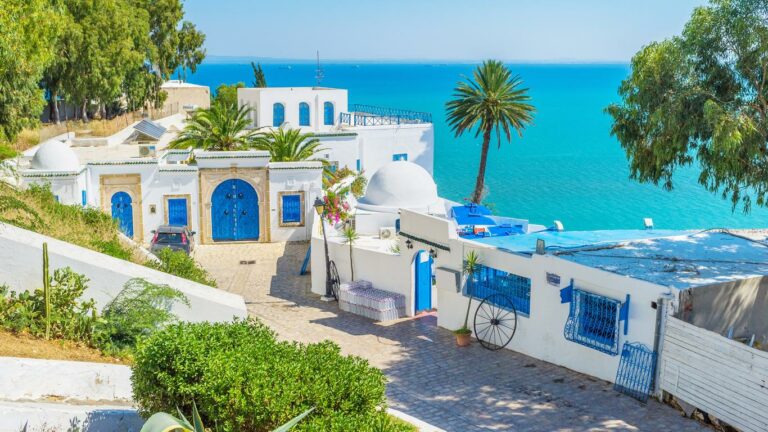 Bienvenue dans un voyage enchanteur où les rues pavées se mêlent à la douce brise méditerranéenne, et les façades blanches éclatent de bougainvilliers aux couleurs vives. L'excursion à Sidi Bou Saïd promet une expérience sensorielle où chaque coin raconte une histoire vieille de plusieurs siècles. L'Art de Sidi Bou Saïd Une Palette de Couleurs Sidi Bou Saïd est une toile vivante, une explosion de teintes qui charment les visiteurs dès le premier regard. Les nuances de bleu et de blanc créent une symphonie visuelle, faisant de chaque rue une œuvre d'art à part entière. Le Café des Délices : Une Pause Gourmande Savourez le Moment Un incontournable de Sidi Bou Saïd est le légendaire Café des Délices. Installez-vous en terrasse, commandez un thé à la menthe et laissez-vous imprégner par l'atmosphère détendue tout en admirant la vue panoramique sur la mer Méditerranée. L'Élégance des Boutiques Artisanales Shopping Authentique Les ruelles de Sidi Bou Saïd regorgent de boutiques artisanales. Des céramiques peintes à la main aux tapis tissés avec soin, chaque boutique offre une pièce unique, témoignant du savoir-faire artisanal tunisien. La Médina de Sidi Bou Saïd : Une Plongée dans l'Histoire Un Voyage Temporel Explorez la médina, où l'architecture préservée vous transporte dans le passé. Les portes en bois ornées et les façades traditionnelles racontent l'histoire riche de cette petite ville méditerranéenne. Retour avec des Souvenirs Intemporels Après une journée à Sidi Bou Saïd, imprégnez-vous de l'énergie de ce lieu unique. Revenez avec des souvenirs qui transcendent le temps, des images de ruelles pittoresques et d'une mer qui danse au rythme de cette charmante cité.  Un Bijou Méditerranéen L'excursion à Sidi Bou Saïd n'est pas simplement un déplacement, c'est une immersion dans l'essence même de la Tunisie. Rejoignez-nous dans cette aventure où chaque pas révèle la magie d'un lieu qui capture les cœurs.