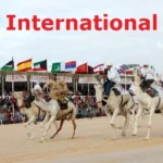 Excursion Pas Cher : Découvrez le Festival International du Sahara à Douz, au Sud de la Tunisie