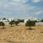 Les oliviers de Djerba et les oasis de montagne de Tamerza au sud Tunisie. Le problème crucial de l’eau suscite une prise de conscience. La Tunisie est l’un des pays de la zone Afrique du Nord-Moyen-Orient aux plus faibles ressources en eau. Les agriculteurs s’organisent pour mieux utiliser l’eau, tandis qu’un ingénieur agronome a mis au point un procédé d’irrigation dont il rêve d’équiper une partie des 80 millions d’oliviers du pays