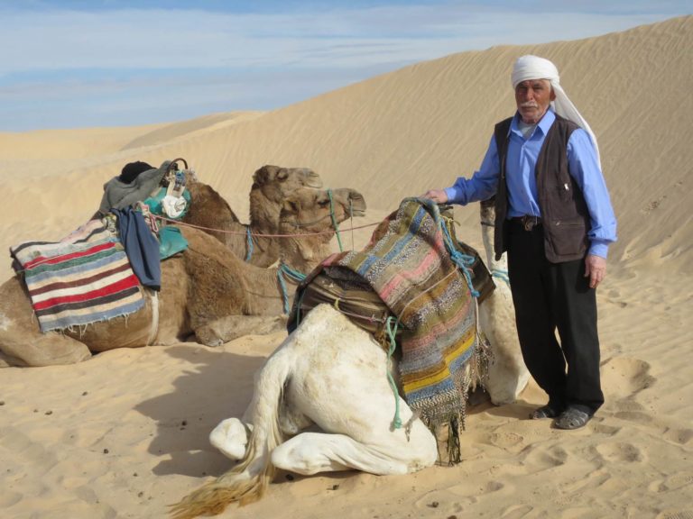 On vous dévoile le vrai visage de sud tunisien. On vous organise des excursions, circuits, méharées et des Raids 4x4 dans le désert tunisien. On vous organise des excursions, des circuits pour découvrir le grand sud tunisien. On vous dévoile le vrai visage de sud tunisien