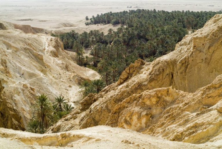 Les villages de montagnes offrent d’incroyables panoramas avec des canyons, des sources et des palmeraies au sud tunisie. Il faut dépasser le village de Midès, une ancienne forteresse berbère, pour atteindre un belvédère en forme de proue de navire et admirer un point de vue magnifique sur des gorges profondes. Le vieux village de Tamerza au sud tunisie s’admire de loin. Les constructions abandonnées bordent les rives de l’oued. Plus loin, on découvre une modeste cascade, rien d’incroyable, mais qui dans cet univers aride relève du miracle.