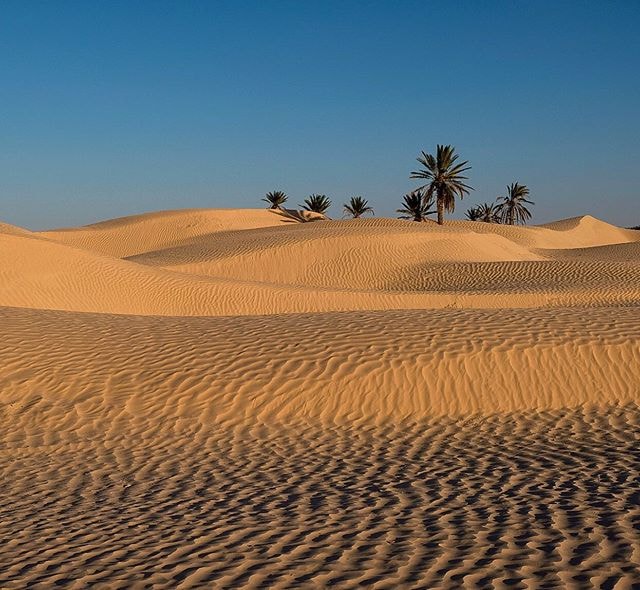 Douz Zaafrane sud Tunisie ville de beauté sauvage