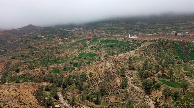 Toujane Matmata sud Tunisie