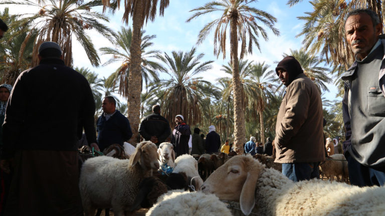 sud tunisie