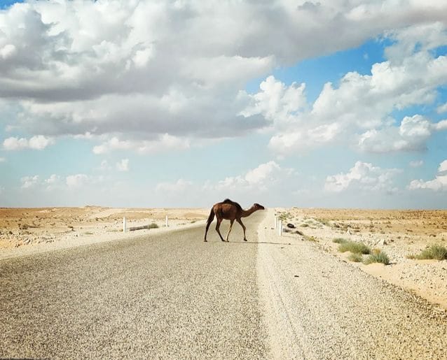 Sud Tunisie votre voyage de rêve