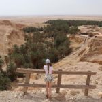 Belle escapade au cœur des oasis de montagnes au sud de la Tunisie. Découvrez des paysages à couper le souffle à l’oasis de Chebika avec sources naturelles, visitez les ruines des villages historiques entre montagnes et oasis et profitez d’une belle baignade rafraîchissante sous la cascade ... des moments d’adrénaline dans une expérience mémorable.