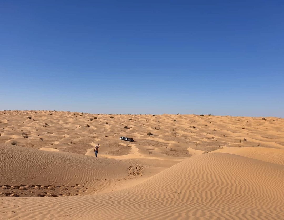 Sahara Désert Tembaine Sud Tunisie Sud Tunisie 7432