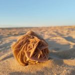 Rose de sable... Sahara Désert Tunisie sud tunisie