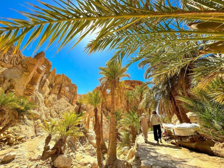 Dans cet article, nous allons explorer la magnifique région du sud de la Tunisie et vous montrer pourquoi elle mérite toute votre attention. Vous découvrirez les trésors cachés, les paysages à couper le souffle, la richesse culturelle, et bien plus encore. Préparez-vous à être émerveillé par tout ce que le sud de la Tunisie a à offrir. Des Plages Paradisiaques Le sud de la Tunisie est béni avec des kilomètres de plages de sable doré baignées par les eaux cristallines de la Méditerranée. Que vous soyez un amateur de farniente ou un passionné de sports nautiques, vous trouverez votre bonheur sur ces plages. Les villes côtières comme Djerba, Zarzis et Gabès offrent un éventail de choix pour des journées ensoleillées et relaxantes. La promotion du sud de la Tunisie passe par la mise en avant de ses trésors balnéaires. Le Désert du Sahara Le désert du Sahara, l'un des déserts les plus vastes et mystérieux du monde, s'étend jusqu'au sud de la Tunisie. Les dunes de sable rouge, les oasis verdoyantes et les formations rocheuses étonnantes créent un paysage à couper le souffle. Vous pouvez explorer le désert à dos de chameau, camper sous les étoiles, et vivre une expérience inoubliable. La promotion du sud de la Tunisie doit mettre en avant cette aventure unique. L'Histoire et la Culture Le sud de la Tunisie regorge d'histoire et de culture. Ne manquez pas la médina de Tozeur, un site classé au patrimoine mondial de l'UNESCO, avec son architecture traditionnelle et ses souks animés. Vous pouvez également visiter les villages berbères et apprendre sur le mode de vie ancestral de ces populations fascinantes. La culture riche et diversifiée du sud de la Tunisie est un véritable trésor à explorer. La Cuisine Tunisienne La gastronomie tunisienne est un mélange délicieux de saveurs méditerranéennes et africaines. Dans le sud, vous pourrez déguster des plats locaux uniques, tels que le couscous au poisson, le méchoui (viande grillée à la broche), et les délicieuses pâtisseries. Les restaurants locaux vous accueilleront avec une hospitalité chaleureuse et vous feront découvrir les délices de la cuisine tunisienne. L'Écotourisme Le sud de la Tunisie offre également de nombreuses opportunités pour les amoureux de la nature et de l'écotourisme. Les parcs nationaux, tels que le parc national de l'île de Djerba-Zarzis, abritent une faune et une flore uniques. Vous pouvez observer des oiseaux migrateurs, des tortues marines et bien d'autres espèces dans leur habitat naturel. La promotion du sud de la Tunisie devrait mettre en avant ces aspects préservés de la nature. Conclusion En conclusion, le sud de la Tunisie est une destination qui mérite d'être explorée et découverte. Ses plages immaculées, son désert majestueux, son patrimoine culturel riche, sa cuisine délicieuse et ses opportunités d'écotourisme en font un endroit exceptionnel. La promotion du sud de la Tunisie est une invitation à l'aventure, à la détente et à la découverte. Alors, préparez-vous à vivre une expérience inoubliable dans cette région magnifique.