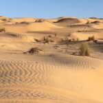 La montagne de Tembaïne s’élève dans un océan de dunes qui s’étendent à perte de vue. Tout autour, ce n’est que le silence et l’immensité du désert. Pour vivre une expérience privilégiée du désert, n'hésitez pas à nous contacter 📩