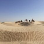 Bénéficiez d'une prise en charge à votre hôtel ou lieu d'hébergement désert vers Ksar Ghilane ou Douz, rencontrez vos chameliers et commencez votre randonnée à dos de dromadaire. Chevauchez votre dromadaire et émerveillez-vous devant les incroyables vues sur les dunes dorées et les magnifiques paysages qui changent selon le moment de la journée. Le midi, faites une pause pour déjeuner. Prenez des photos de l'impressionnant désert pendant que le cuisinier vous prépare un délicieux repas. Ensuite, continuez votre randonnée jusqu'au coucher du soleil. Admirez les superbes vues du soleil se couchant derrières les dunes dorées. Installation de votre camp du désert, asseyez-vous pour déguster un dîner traditionnel bedouin découvrez le célèbre pain du désert. Passez la nuit sous le ciel étoilé, sous une tente. Au petit matin, profitez du superbe lever de soleil et dégustez un petit déjeuner. Continuez votre randonnée à dos de dromadaire à travers les belles dunes et les magnifiques paysages. Retournez à votre point de départ initial puis transfert jusqu'à votre lieu de résidence