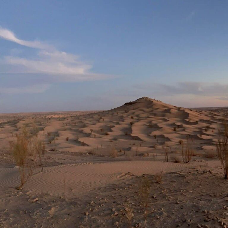 Super expérience dans les dunes de Tembaine Sahara désert Tunisie. Excursion parfaite et une nuit à la belle étoile dans les dunes, calme et reposant.