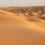 Une visite pas comme les autres... Tembaïne est une montagne située à 120 kilomètres au sud de Douz, à trois heures de piste de sable en 4x4, au beau milieu du Grand Erg oriental. Tembaïne a été occupée par les Hommes dès la Préhistoire. Il s'agit en fait de deux montagnes au sommet aplani qui s'élèvent à 200 mètres d'altitude au beau milieu du Sahara. De là-haut, le panorama sur les dunes s'étendant à perte de vue est à couper le souffle. Pour les Bédouins, ces deux montagnes sont un carrefour, un point de repère.