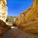 Tamaghza Golden Canyon sud Tunisie  La vallée dorée de Tamaghza est située dans l'état de Tozeur sud tunisien et près de la frontière algérienne.C'est une vallée rocheuse au milieu du désert avec un temps chaud, et une oasis de montagne décorée de palmiers, de vallées et de sources d'eau étonnantes qui lui donnent une élégance particulière et une atmosphère rafraîchissante, qui montre une nature pleine de surprises, et des scènes ont été tournées dans cette vallée éblouissante.