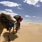 Méharée sahara désert Sud Tunisie (Avril 2023) Au désert de Douz sud Tunisie  et les oasis sahariens proches se trouve de nombreux marabouts (encore bien vivants). Lors de notre méharée dans ce Sahara de sable blanc, on s'y arrêté, et on a visité avec tout le respect qu'il se doit. Pauline et Alexandre, un grand merci d'avoir partagé les photos avec nous. Si vous avez envie de vivre, cette expérience de Méharée dans le désert tunisien, n'hésitez pas à nous contacter