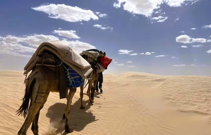 Méharée sahara désert Sud Tunisie (Avril 2023) Au désert de Douz sud Tunisie  et les oasis sahariens proches se trouve de nombreux marabouts (encore bien vivants). Lors de notre méharée dans ce Sahara de sable blanc, on s'y arrêté, et on a visité avec tout le respect qu'il se doit. Pauline et Alexandre, un grand merci d'avoir partagé les photos avec nous. Si vous avez envie de vivre, cette expérience de Méharée dans le désert tunisien, n'hésitez pas à nous contacter