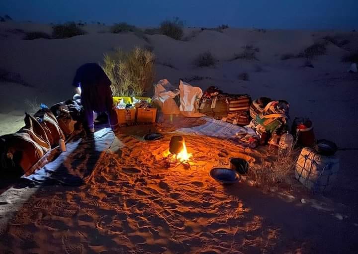 Rose de sable sahara désert Tunisie