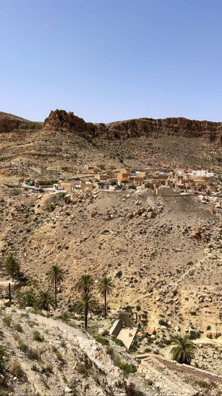 Toujane Matmata sud Tunisien  Toujane la berbère au sud de la Tunisie, à flanc de rocher, le village de Toujane se cache derrière une montagne et domine un oued encaissé offrant un panorama à couper le souffle sur la plaine qui s'étire vers la mer. Perché sur le versant d'une montagne, ses maisons faites de pierres sèches se parent pour la plupart de magnifiques tapis berbères entièrement tissés à la main par des artisanes du village selon des coutumes très anciennes et qui ont fait la réputation du village... Simplicité, calme et âpreté des lieux ne laissent pas indifférents.