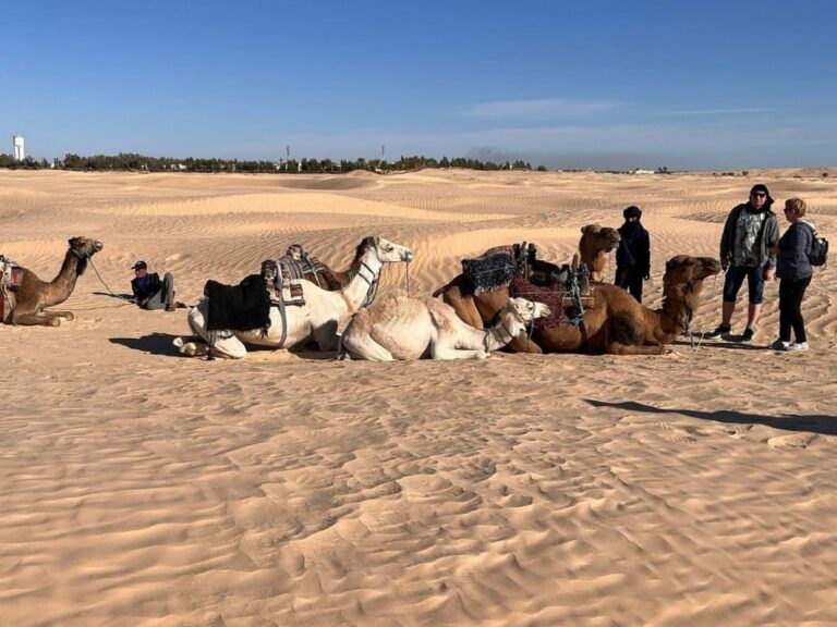 Douz Sahara désert sud Tunisie