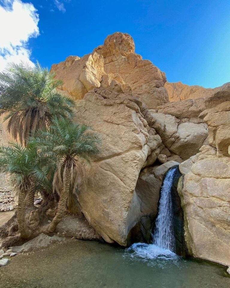 Oasis de montagne TOZEUR sud Tunisie Magnifique oasis de montagne et village à visiter absolument. Montez en haut du village en arpentent les petites ruelles encore intactes, pour arriver au sommet et profiter de la magnifique vue sur l'oasis, puis suivez le système d'irrigation antique jusqu'à arriver aux sources d'eau de montage. Puis suivez le cours d'eau jusqu'à arriver à une petite cascade, et contemplez le son du désert et du ruissellement de l'eau. Visite et renseignement