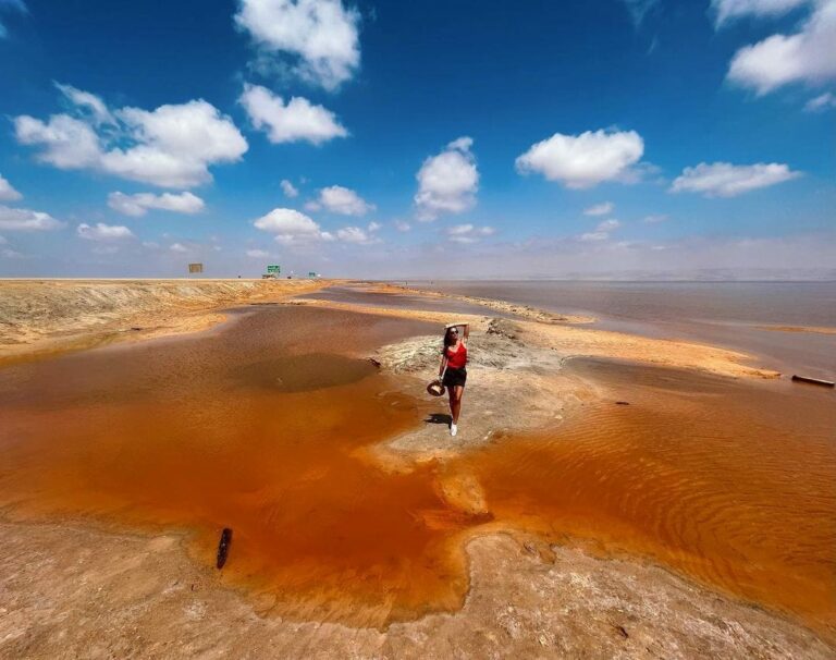 Le Chott el jerid Tozeur  sud Tunisie Belle expérience à découvrir ! Que de couleurs à découvrir en un seul endroit..! L'idéal, parce que l'effort rendra l'expérience encore plus belle, est de venir longer les abords de l'étendue d'eau salée au lever du soleil. La couleur rosée de l'eau se refletera sur les premiers rayons du soleil et rendra l'endroit encore plus incoryable qu'il ne l'est. Le sel sur les contours ferait croire à la neige en plein été ! Expérience inédite que de se retrouver perdu sur cette immense lac salé!!!! un passage incontournable ...“Dépaysant!!”