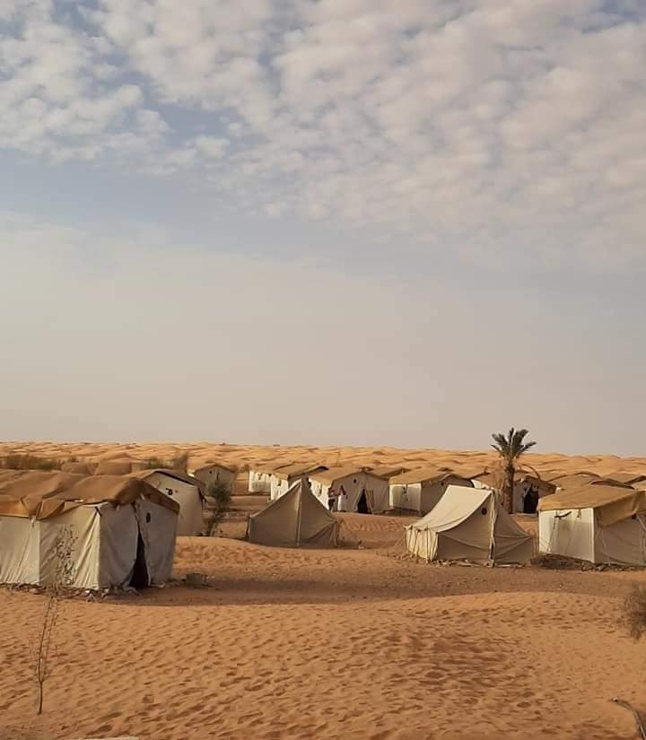 Deux jours Sahara désert Ksar Ghilane : Le point marquant de cette visite est le Grand Sahara sud Tunisie, la promenade en dromadaire et la nuit au le camp de Zmela, juste en bordure du Sahara pour un coucher de soleil spectaculaire sur les dunes. Un lever du soleil inoubliable ! La visite du village troglodyte berbère de Matmata ... Pour plus des renseignements