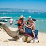 Une excursion au Cap Bon en Tunisie ? Découvrez cette région fascinante ! Si vous prévoyez de visiter la Tunisie, ne manquez pas l'occasion de faire une excursion au Cap Bon, une péninsule située au nord-est du pays, entre Tunis et Bizerte. Le Cap Bon est une destination riche en paysages diversifiés, en sites historiques et en culture locale. Dans cet article, nous allons vous guider à travers les merveilles de cette région, en vous offrant un aperçu complet des lieux à visiter, des activités à faire et des délices à savourer. Alors, préparez vos valises et partons à la découverte du Cap Bon ! 1. Nabeul - La ville de l'artisanat et des plages dorées Notre excursion commence par la charmante ville de Nabeul, réputée pour ses plages de sable fin et son artisanat traditionnel. Promenez-vous dans les ruelles animées et colorées de la médina, où vous pourrez admirer les poteries et les céramiques locales. Nabeul est également célèbre pour son marché coloré et vivant, où vous pourrez acheter des souvenirs uniques et des produits locaux. 2. Hammamet - Un havre de détente en bord de mer À quelques kilomètres de Nabeul se trouve la célèbre station balnéaire d'Hammamet. Avec ses plages de rêve, ses hôtels luxueux et sa médina pittoresque, Hammamet est l'endroit idéal pour se détendre et se ressourcer. Flânez dans les ruelles pavées de la médina, visitez les souks et goûtez aux délicieux plats tunisiens dans les restaurants locaux. 3. Kerkouane - Voyage dans l'histoire punique et romaine Pour les amateurs d'histoire, une visite à Kerkouane est incontournable. Ce site archéologique classé au patrimoine mondial de l'UNESCO abrite les vestiges d'une ancienne cité punique et romaine. Explorez les ruines bien préservées et plongez dans l'histoire fascinante de cette ancienne civilisation. 4. Les grottes d'El Haouaria - Un spectacle naturel à couper le souffle Au nord du Cap Bon, les grottes d'El Haouaria vous attendent pour une expérience inoubliable. Creusées dans les falaises calcaires, ces grottes offrent des vues panoramiques à couper le souffle sur la mer Méditerranée. C'est un endroit parfait pour les amateurs de photographie et les amoureux de la nature. 5. Les plages de Kelibia - Paradis des baigneurs et des amateurs de sports nautiques La région de Kelibia est réputée pour ses plages magnifiques et ses eaux cristallines. Profitez du soleil sur les plages de Kelibia et de Mansoura, où vous pourrez vous détendre sur le sable chaud ou vous adonner à des activités nautiques comme la planche à voile et la plongée. Conclusion - Un voyage inoubliable au Cap Bon En conclusion, une excursion au Cap Bon en Tunisie est une aventure passionnante qui offre une combinaison unique de culture, d'histoire et de détente balnéaire. Des villes animées comme Nabeul et Hammamet aux sites historiques de Kerkouane et aux paysages naturels époustouflants des grottes d'El Haouaria, le Cap Bon saura vous émerveiller à chaque étape de votre voyage. Alors, qu'attendez-vous ? Préparez-vous à vivre une expérience inoubliable au Cap Bon en Tunisie. Que vous soyez amateur d'histoire, adepte de farniente sur la plage ou passionné de découvertes naturelles, le Cap Bon a tout pour vous séduire. Explorez cette magnifique région et créez des souvenirs qui resteront gravés dans votre cœur.