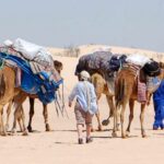 Exploration envoûtante du Sahara tunisien : Excursion dans le Sud de la Tunisie  La Tunisie, ce joyau du Maghreb, abrite des paysages incroyables et variés. Parmi les destinations les plus fascinantes du pays se trouve le Sahara tunisien, une vaste étendue désertique qui éblouit les voyageurs du monde entier. Dans cet article, nous vous invitons à embarquer pour une aventure inoubliable en plein cœur du désert, en partant pour une passionnante excursion dans le Sud de la Tunisie. Découverte du Sud tunisien Le Sud de la Tunisie offre une expérience hors du commun, loin du tumulte des villes et du littoral. Ici, le temps semble suspendu, et la nature règne en maître. Cette région envoûtante regorge d'oasis luxuriantes, de dunes de sable majestueuses et de paysages lunaires à couper le souffle. L'excursion dans le Sud tunisien vous permettra de vous immerger pleinement dans cette beauté désertique. Exploration du Sahara tunisien L'excursion dans le Sahara tunisien vous entraînera au cœur du désert, où vous découvrirez un monde à part. Vous aurez l'occasion de parcourir d'immenses dunes dorées, de contempler des levers et couchers de soleil à couper le souffle et de passer des nuits magiques sous un ciel étoilé époustouflant. Les caravanes chamelières traditionnelles vous guideront dans cette aventure extraordinaire. Rencontre avec les habitants du désert Lors de votre excursion, vous aurez également l'opportunité de rencontrer les habitants du désert. Les Berbères, peuple ancestral du Sahara, vous accueilleront chaleureusement et partageront avec vous leur mode de vie unique. Vous découvrirez leurs traditions séculaires, leur artisanat authentique et leur hospitalité légendaire. Les oasis du Sud tunisien Au milieu de cet océan de sable, les oasis surgissent telles des oasis miraculeuses. Ces points d'eau verdoyants sont de véritables joyaux dans le désert aride. Vous aurez la chance de vous rafraîchir dans ces havres de paix et de savourer des moments de détente bien mérités. Le Sud tunisien, terre de tournage. Les paysages spectaculaires du Sud tunisien ont servi de décor à de nombreux films célèbres, dont certains épisodes de la saga Star Wars. En visitant cette région, vous aurez l'impression de marcher sur les traces des héros de la galaxie lointaine, une expérience unique pour les fans de cinéma et d'aventure.  En conclusion, l'excursion dans le Sud de la Tunisie offre une immersion magique dans le Sahara tunisien, une expérience qui restera gravée dans votre mémoire pour toujours. Entre paysages envoûtants, rencontres authentiques et découvertes culturelles, cette aventure unique comblera les amoureux de la nature et de l'exploration. Alors, n'attendez plus, et partez à la découverte de ce joyau du désert tunisien.