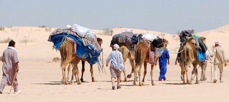 Exploration envoûtante du Sahara tunisien : Excursion dans le Sud de la Tunisie  La Tunisie, ce joyau du Maghreb, abrite des paysages incroyables et variés. Parmi les destinations les plus fascinantes du pays se trouve le Sahara tunisien, une vaste étendue désertique qui éblouit les voyageurs du monde entier. Dans cet article, nous vous invitons à embarquer pour une aventure inoubliable en plein cœur du désert, en partant pour une passionnante excursion dans le Sud de la Tunisie. Découverte du Sud tunisien Le Sud de la Tunisie offre une expérience hors du commun, loin du tumulte des villes et du littoral. Ici, le temps semble suspendu, et la nature règne en maître. Cette région envoûtante regorge d'oasis luxuriantes, de dunes de sable majestueuses et de paysages lunaires à couper le souffle. L'excursion dans le Sud tunisien vous permettra de vous immerger pleinement dans cette beauté désertique. Exploration du Sahara tunisien L'excursion dans le Sahara tunisien vous entraînera au cœur du désert, où vous découvrirez un monde à part. Vous aurez l'occasion de parcourir d'immenses dunes dorées, de contempler des levers et couchers de soleil à couper le souffle et de passer des nuits magiques sous un ciel étoilé époustouflant. Les caravanes chamelières traditionnelles vous guideront dans cette aventure extraordinaire. Rencontre avec les habitants du désert Lors de votre excursion, vous aurez également l'opportunité de rencontrer les habitants du désert. Les Berbères, peuple ancestral du Sahara, vous accueilleront chaleureusement et partageront avec vous leur mode de vie unique. Vous découvrirez leurs traditions séculaires, leur artisanat authentique et leur hospitalité légendaire. Les oasis du Sud tunisien Au milieu de cet océan de sable, les oasis surgissent telles des oasis miraculeuses. Ces points d'eau verdoyants sont de véritables joyaux dans le désert aride. Vous aurez la chance de vous rafraîchir dans ces havres de paix et de savourer des moments de détente bien mérités. Le Sud tunisien, terre de tournage. Les paysages spectaculaires du Sud tunisien ont servi de décor à de nombreux films célèbres, dont certains épisodes de la saga Star Wars. En visitant cette région, vous aurez l'impression de marcher sur les traces des héros de la galaxie lointaine, une expérience unique pour les fans de cinéma et d'aventure.  En conclusion, l'excursion dans le Sud de la Tunisie offre une immersion magique dans le Sahara tunisien, une expérience qui restera gravée dans votre mémoire pour toujours. Entre paysages envoûtants, rencontres authentiques et découvertes culturelles, cette aventure unique comblera les amoureux de la nature et de l'exploration. Alors, n'attendez plus, et partez à la découverte de ce joyau du désert tunisien.