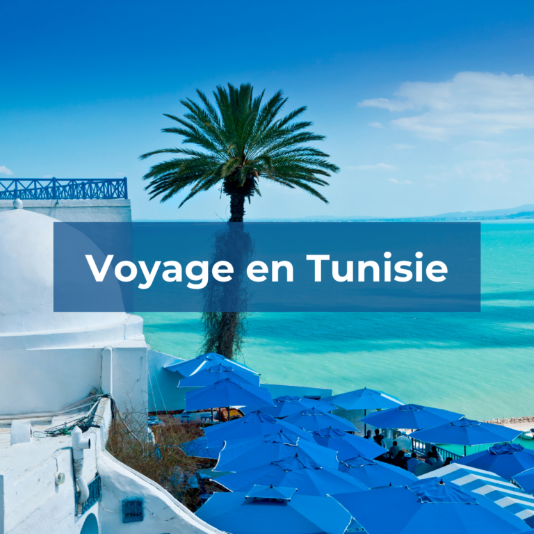 Excursion en Tunisie : Découvrez les trésors cachés de ce joyau méditerranéen Si vous cherchez une destination ensoleillée avec une histoire riche, une culture vibrante et des paysages à couper le souffle, une excursion en Tunisie est le choix idéal. Nichée sur les rives de la mer Méditerranée, la Tunisie offre une expérience inoubliable pour les voyageurs avides de découvertes authentiques. Dans cet article, nous vous emmenons à la découverte des trésors cachés de ce joyau méditerranéen et vous fournirons des informations essentielles pour que votre séjour soit mémorable. 1. Les joyaux historiques de Carthage Notre première escale vous transporte dans l'antiquité fascinante de Carthage. Cette ancienne cité, autrefois grande rivale de Rome, regorge de vestiges historiques. Flânez dans les ruines bien préservées du site archéologique et laissez-vous immerger dans le passé. Explorez les thermes d'Antonin, admirez l'amphithéâtre romain de l'Antique, et visitez le Musée national de Carthage, qui abrite une collection impressionnante d'objets anciens. 2. L'envoûtante médina de Tunis Ensuite, rendez-vous dans la capitale, Tunis, pour découvrir sa médina envoûtante, classée au patrimoine mondial de l'UNESCO. Perdez-vous dans les ruelles étroites, imprégnées d'odeurs d'épices et d'artisanat local. Levez les yeux pour admirer les magnifiques portes en bois sculpté et les superbes maisons traditionnelles. Ne manquez pas la Grande Mosquée Zitouna, une merveille architecturale qui témoigne de la richesse culturelle de la Tunisie. 3. Les oasis du Sahara Un voyage en Tunisie ne serait pas complet sans explorer les mystérieuses oasis du Sahara. À Tozeur et Nefta, vous serez ébloui par la beauté surnaturelle de ces édens verdoyants au cœur du désert aride. Optez pour une balade en calèche dans les palmeraies et découvrez les célèbres décors de films tournés dans cette région unique. 4. Les plages enchanteresses de Djerba Pour un moment de détente, direction l'île de Djerba, située au sud-est du pays. Cette perle du Golfe de Gabès est réputée pour ses plages de sable doré et ses eaux cristallines. Profitez du soleil méditerranéen, savourez des fruits de mer frais dans les restaurants locaux et découvrez la culture berbère dans les villages traditionnels. 5. Le charme pittoresque de Sidi Bou Saïd Pour une escapade romantique, rendez-vous à Sidi Bou Saïd, un village pittoresque aux maisons blanches ornées de volets bleus, surplombant la mer. Flânez dans ses ruelles pittoresques, profitez des vues panoramiques et arrêtez-vous pour siroter un thé à la menthe dans l'un de ses charmants cafés. 6. Les paysages lunaires de Matmata Enfin, les passionnés de science-fiction ne voudront pas manquer Matmata, une région dont le paysage atypique a servi de décor pour plusieurs films, dont Star Wars. Les habitations troglodytiques de Matmata sont uniques en leur genre et offrent une expérience de voyage hors du commun. En conclusion, une excursion en Tunisie est une aventure envoûtante à travers l'histoire, la culture et des paysages variés. Des joyaux historiques de Carthage à l'atmosphère enchanteresse de Djerba, en passant par les oasis du Sahara et les villages pittoresques, chaque moment passé dans ce pays laissera des souvenirs impérissables. Alors, préparez vos valises et laissez-vous emporter par la magie de la Tunisie !