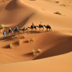 Excursion Désert Sud Tunisie : À la découverte des merveilles du Sahara Préparez vous à vivre une aventure inoubliable au cœur du désert tunisien ! L'excursion dans le désert du Sud Tunisien est une expérience unique qui vous transportera dans un monde de paysages époustouflants, de traditions séculaires et de découvertes passionnantes. Dans cet article, nous vous invitons à explorer les merveilles du Sahara tunisien et à plonger dans une aventure hors du commun. 1. Tozeur : La porte du désert Notre aventure commence à Tozeur, la porte d'entrée du désert. Cette oasis luxuriante offre une vue à couper le souffle avec ses palmiers majestueux et ses jardins verdoyants. Prenez le temps de vous promener dans la médina et d'admirer l'architecture traditionnelle de la région. N'oubliez pas de déguster les succulentes dattes de Tozeur, célèbres dans tout le pays. 2. Matmata : Un voyage dans les décors de Star Wars Matmata est une étape incontournable pour les fans de la saga Star Wars. Vous aurez l'occasion de visiter les habitations troglodytiques qui ont servi de décors pour les films emblématiques de la série. Laissez vous immerger dans l'univers de Luke Skywalker et découvrez des paysages lunaires à couper le souffle. 3. Douz : L'expérience unique des dunes de sable Surnommée "la porte du désert," Douz est célèbre pour ses dunes de sable à perte de vue. Partez pour une aventure passionnante en quad ou à dos de chameau et grimpez au sommet des dunes pour admirer un panorama époustouflant sur le Sahara. Profitez également de l'hospitalité chaleureuse des habitants de Douz. 4. Tataouine : Un voyage au cœur du cinéma Tataouine est non seulement une région incroyablement belle, mais elle est aussi liée à l'histoire du cinéma. De nombreux films célèbres ont été tournés dans cette région aux paysages atypiques. Explorez les lieux de tournage et découvrez les décors qui ont donné vie à des chefs-d'œuvre cinématographiques. 5. Ksar Ghilane : Un havre de paix dans le désert Ksar Ghilane est un véritable oasis de détente au cœur du Sahara. Baignez vous dans les eaux chaudes et apaisantes de ses sources thermales naturelles. Vous pourrez également passer une nuit magique sous les étoiles dans un campement berbère traditionnel