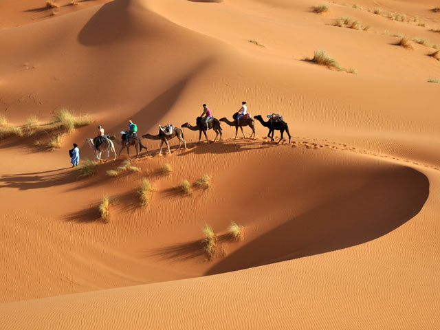 Excursion Désert Sud Tunisie : À la découverte des merveilles du Sahara Préparez vous à vivre une aventure inoubliable au cœur du désert tunisien ! L'excursion dans le désert du Sud Tunisien est une expérience unique qui vous transportera dans un monde de paysages époustouflants, de traditions séculaires et de découvertes passionnantes. Dans cet article, nous vous invitons à explorer les merveilles du Sahara tunisien et à plonger dans une aventure hors du commun. 1. Tozeur : La porte du désert Notre aventure commence à Tozeur, la porte d'entrée du désert. Cette oasis luxuriante offre une vue à couper le souffle avec ses palmiers majestueux et ses jardins verdoyants. Prenez le temps de vous promener dans la médina et d'admirer l'architecture traditionnelle de la région. N'oubliez pas de déguster les succulentes dattes de Tozeur, célèbres dans tout le pays. 2. Matmata : Un voyage dans les décors de Star Wars Matmata est une étape incontournable pour les fans de la saga Star Wars. Vous aurez l'occasion de visiter les habitations troglodytiques qui ont servi de décors pour les films emblématiques de la série. Laissez vous immerger dans l'univers de Luke Skywalker et découvrez des paysages lunaires à couper le souffle. 3. Douz : L'expérience unique des dunes de sable Surnommée "la porte du désert," Douz est célèbre pour ses dunes de sable à perte de vue. Partez pour une aventure passionnante en quad ou à dos de chameau et grimpez au sommet des dunes pour admirer un panorama époustouflant sur le Sahara. Profitez également de l'hospitalité chaleureuse des habitants de Douz. 4. Tataouine : Un voyage au cœur du cinéma Tataouine est non seulement une région incroyablement belle, mais elle est aussi liée à l'histoire du cinéma. De nombreux films célèbres ont été tournés dans cette région aux paysages atypiques. Explorez les lieux de tournage et découvrez les décors qui ont donné vie à des chefs-d'œuvre cinématographiques. 5. Ksar Ghilane : Un havre de paix dans le désert Ksar Ghilane est un véritable oasis de détente au cœur du Sahara. Baignez vous dans les eaux chaudes et apaisantes de ses sources thermales naturelles. Vous pourrez également passer une nuit magique sous les étoiles dans un campement berbère traditionnel