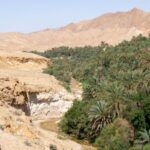 Oasis de montagne Tozeur Tunisie : Un joyau caché au cœur du désert Introduction Bienvenue dans l'incroyable oasis de montagne de Tozeur, en Tunisie ! Nichée au cœur du désert du Sahara, cette oasis pittoresque offre un paysage époustouflant et une expérience unique qui émerveilleront tous les voyageurs en quête d'aventure, de beauté naturelle et de culture authentique. Découvrir la magie de Tozeur Vivre une escapade enchanteresse Tozeur est une destination qui fascine et émerveille dès le premier regard. Imaginez-vous entouré de palmiers majestueux, de dattiers luxuriants et de jardins verdoyants au milieu d'un désert brûlant. Cette oasis de montagne est un havre de paix, un écrin de verdure au milieu des dunes de sable doré. Explorer le vieux quartier de Tozeur Le vieux quartier de Tozeur est un véritable trésor d'histoire et d'architecture traditionnelle. Les ruelles étroites et sinueuses vous transportent dans le temps, et les maisons en briques de terre aux décors complexes témoignent du riche patrimoine culturel de la région. Promenade en calèche et en dromadaire Pour une expérience authentique, optez pour une promenade en calèche traditionnelle tirée par de majestueux chevaux. Vous pouvez également vous aventurer dans le désert sur le dos d'un dromadaire et vous sentir comme un véritable nomade du Sahara. Des merveilles naturelles uniques Découverte des oasis environnantes Outre l'oasis de Tozeur, la région regorge d'autres oasis étonnantes à explorer. Ne manquez pas l'oasis de Chebika, avec ses cascades pittoresques, ou encore l'oasis de Tamerza, avec ses impressionnantes gorges et ses piscines naturelles. Le canyon de Midès Le canyon de Midès est un site naturel époustouflant, creusé par des millions d'années d'érosion. Entouré de falaises spectaculaires, ce canyon offre des vues à couper le souffle et est un endroit idéal pour les randonneurs et les amoureux de la nature. Les Chott El Jerid Les Chott El Jerid sont des lacs salés asséchés qui créent un paysage lunaire tout à fait unique. Le contraste entre le blanc éclatant du sel et le bleu profond du ciel crée une vue saisissante, parfaite pour les voyageurs en quête de photographie de paysages extraordinaires. La richesse de la culture locale Artisanat local Tozeur est réputée pour son artisanat traditionnel, en particulier ses tapis berbères faits à la main et ses poteries délicatement ornées. Vous pouvez visiter des ateliers et des souks pour admirer le talent des artisans locaux et même acheter des souvenirs uniques. Festivals et célébrations Assistez à l'un des festivals colorés de Tozeur pour une immersion totale dans la culture locale. Les festivals sont l'occasion de découvrir les danses traditionnelles, les musiques envoûtantes et les plats délicieux de la région. Conclusion L'oasis de montagne de Tozeur en Tunisie est une destination incontournable pour les voyageurs en quête d'aventure, de beauté naturelle et de culture authentique. Avec ses paysages à couper le souffle, son riche patrimoine culturel et sa chaleur humaine, Tozeur offre une expérience de voyage unique et mémorable. Alors, n'hésitez plus et embarquez pour une escapade inoubliable au cœur du désert du Sahara