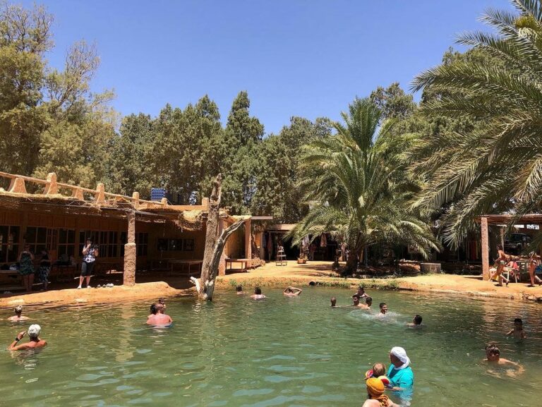 Visite d'une journée Sahara désert Ksar Ghilane Source d'eau chaude, quad dans le désert jusqu'au délicieux repas tunisien (couscous). Possibilité balade en dromadaire... De quoi passer une excellente journée  Plus des renseignements