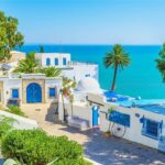 Une excursion à Sidi Bou Saïd est une excellente idée pour les visiteurs en Tunisie. Sidi Bou Saïd est une charmante petite ville située à environ 20 kilomètres au nord-est de Tunis, la capitale tunisienne. Voici ce que vous pouvez attendre lors d'une excursion à Sidi Bou Saïd : Architecture pittoresque : Sidi Bou Saïd est célèbre pour son architecture traditionnelle blanche et bleue. Les maisons aux murs blanchis à la chaux sont ornées de jolies portes et fenêtres bleues, créant un charme unique à la méditerranéenne. La ville est un régal pour les amateurs de photographie en raison de ses ruelles étroites et de ses vues panoramiques sur la mer. La Rue Habib Thameur : C'est la principale artère de Sidi Bou Saïd. Vous y trouverez de nombreux magasins d'artisanat tunisien, de galeries d'art, de boutiques de souvenirs et de cafés. Vous pourrez également déguster des pâtisseries tunisiennes traditionnelles dans les petites échoppes. Café des Nattes : L'un des points de repère les plus emblématiques de Sidi Bou Saïd est le Café des Nattes. Ce café historique offre une vue imprenable sur la mer Méditerranée et est l'endroit idéal pour se détendre avec une tasse de thé à la menthe ou un café tout en profitant de l'atmosphère unique de la ville. Le phare : Si vous montez au sommet de la colline, vous arriverez au phare de Sidi Bou Saïd, d'où vous pourrez admirer une vue panoramique sur la ville et les eaux bleues de la Méditerranée. Les plages : Bien que Sidi Bou Saïd ne soit pas principalement une destination de plage, il y a des criques et des petites plages autour de la ville où vous pourrez vous détendre et vous baigner. L'excursion à Sidi Bou Saïd peut être combinée avec une visite de Carthage, située à proximité, pour découvrir les ruines antiques de cette ancienne cité romaine. Assurez-vous de porter des chaussures confortables car les ruelles de Sidi Bou Saïd sont pavées et parfois en pente. Aussi, si vous prévoyez de visiter les sites historiques, il est conseillé de s'informer sur les horaires d'ouverture et les éventuelles restrictions avant votre visite. Profitez de cette belle excursion pour découvrir l'un des joyaux de la Tunisie.