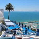 Sidi Bou Saïd est un charmant village situé en Tunisie, à environ 20 km au nord-est de la capitale, Tunis. Cette destination est très appréciée des touristes pour son architecture traditionnelle, ses ruelles pavées, ses maisons blanches aux portes et fenêtres bleues, ainsi que pour ses vues panoramiques sur la mer Méditerranée. Voici quelques informations sur une excursion à Sidi Bou Saïd : Lieu : Sidi Bou Saïd est perché sur une colline surplombant le golfe de Tunis. Ses rues étroites et sinueuses, ses boutiques d'artisanat, ses galeries d'art et ses cafés pittoresques en font un endroit idéal pour se promener et découvrir la culture tunisienne. Architecture : Le village est réputé pour son architecture traditionnelle typique, caractérisée par des murs blancs et des volets et portes bleus. Cette esthétique unique en fait un lieu prisé pour les photographes et les artistes. Café des Nattes : Le Café des Nattes est l'un des cafés emblématiques de Sidi Bou Saïd. Vous pourrez vous détendre dans une atmosphère agréable tout en dégustant un thé à la menthe traditionnel et en admirant la vue panoramique sur la mer. Le phare : Sidi Bou Saïd possède également un phare emblématique qui offre une vue imprenable sur les environs. C'est un endroit idéal pour observer le coucher de soleil sur la Méditerranée. Accès : Vous pouvez accéder à Sidi Bou Saïd en taxi depuis Tunis ou en utilisant les transports en commun. C'est une excursion d'une journée populaire depuis la capitale tunisienne, et la visite peut être combinée avec d'autres attractions environnantes telles que Carthage, un site archéologique historique important. Shopping : Le village propose de nombreux magasins d'artisanat où vous pourrez acheter des souvenirs tels que des poteries, des tapis, des bijoux, des textiles et des objets en cuir. En résumé, Sidi Bou Saïd est une excursion incontournable si vous visitez Tunis ou ses environs. La beauté pittoresque de ce village, associée à son ambiance chaleureuse et détendue, en fait une destination idéale pour se promener, se détendre et profiter d'une vue imprenable sur la mer Méditerranée.