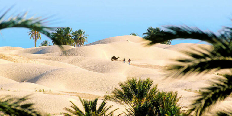 Circuit Deux Nuitées Trois Jours Sud Tunisie : Explorez Les Richesses Du Sud Tunisien ! Nous sommes ravis de vous présenter un voyage extraordinaire au cœur des trésors cachés du Sud de la Tunisie ! Avec notre circuit de deux nuitées et trois jours, préparez-vous à une expérience inoubliable, hors des sentiers battus. Suivez-nous dans ce récit captivant à la découverte des merveilles du Sud tunisien. À la Découverte des Oasis enchanteresses 🌴 Le premier jour de notre périple, nous vous emmènerons à la découverte des oasis enchanteresses qui parsèment le Sud tunisien. Nous partirons tôt le matin de Tunis en direction de Tozeur, une ville oasis célèbre pour ses palmiers majestueux et son architecture traditionnelle. Une fois arrivés à Tozeur, nous visiterons le superbe parc du Belvédère, où l'ombre bienfaisante des palmiers vous invitera à la détente. Ensuite, nous nous rendrons au cœur du désert pour explorer les incroyables oasis de montagne de Chebika, Tamerza et Mides. Vous serez émerveillés par les cascades naturelles et les piscines d'eau cristalline, un véritable havre de paix au milieu du désert. Immersion dans les Dunes de sable du Sahara 🏜️ Le deuxième jour, nous vivrons une expérience unique en traversant les majestueuses dunes du Sahara. Cap vers Douz, la fameuse "porte du désert". Une fois sur place, nous monterons à dos de dromadaire pour une balade pittoresque à travers les dunes de sable doré. Vous vous sentirez comme un vrai nomade du désert, perdus dans l'immensité du Sahara. Après cette aventure époustouflante, nous nous dirigerons vers Matmata, un village troglodyte qui a servi de décor à certains films célèbres, dont Star Wars. Vous aurez l'occasion de visiter des maisons troglodytes uniques, creusées à même la roche, offrant une fraîcheur bienvenue pendant les chaudes journées d'été. Une Parenthèse Historique à Tataouine 🕌 Le troisième jour, nous nous enfoncerons dans l'histoire fascinante de Tataouine. Cette région regorge de villages berbères pittoresques et de ksour fortifiés, des constructions traditionnelles qui témoignent de la richesse culturelle de la Tunisie. Nous visiterons le célèbre ksar Ouled Soltane, une ancienne forteresse datant du 15e siècle, qui servait de refuge aux habitants en cas d'attaque. Puis, nous partirons à la découverte du charmant village de Chenini, perché au sommet d'une colline, offrant une vue imprenable sur les environs. Retour à Tozeur et Fin du Circuit 🚗 En fin de journée, nous retournerons à Tozeur pour profiter d'un moment de détente bien mérité. Vous pourrez flâner dans les ruelles de la médina, déguster des spécialités locales dans les restaurants traditionnels et ramener des souvenirs uniques de l'artisanat local. Après deux nuitées riches en découvertes et en émotions, nous nous quitterons avec des souvenirs plein la tête et des étoiles dans les yeux. Ce circuit dans le Sud tunisien est une expérience unique qui vous fera vivre des moments inoubliables et vous permettra de vous immerger dans la culture et la beauté naturelle de cette région époustouflante. N'attendez plus pour vivre cette aventure extraordinaire ! Réservez dès maintenant votre place pour notre circuit de deux nuitées et trois jours dans le Sud tunisien et embarquez pour un voyage hors du commun au cœur de l'authenticité tunisienne.