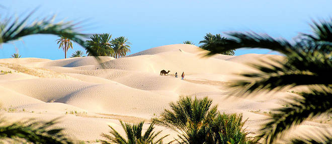 Découvrez l'Excursion Inoubliable dans le Sahara Tunisien ! Bienvenue chez nous, où l'aventure au cœur du Sahara tunisien vous attend avec www.sudtunisie.com. Si vous recherchez une expérience hors du commun, une évasion de la routine quotidienne et une plongée au cœur des paysages les plus époustouflants, ne cherchez pas plus loin. Notre excursion dans le Sahara tunisien est conçue pour vous offrir une aventure mémorable, des moments de découverte et une immersion totale dans la beauté de ce désert légendaire. Explorer le Sahara : Une Aventure Authentique Imaginez-vous sous un ciel étoilé d'une beauté inimaginable, avec les dunes de sable doré s'étendant à perte de vue. Notre excursion vous permettra de vivre cette scène féerique en personne. Contrairement à d'autres voyages, nous mettons l'accent sur l'authenticité. Vous ne serez pas un simple touriste, mais un explorateur, un voyageur qui se lie avec l'histoire et la culture de cette région fascinante. Itinéraire Fascinant Notre itinéraire soigneusement planifié vous emmènera à travers les points forts les plus captivants du Sahara tunisien. De l'oasis de Tozeur, où la végétation luxuriante contraste avec le désert environnant, aux dunes ondulantes de Douz, chaque étape de notre voyage est conçue pour vous émerveiller. Vous aurez l'opportunité de rencontrer des habitants locaux, d'explorer les souks traditionnels et de goûter aux délices culinaires de la région. Nuits Magiques dans le Désert Le clou de notre excursion est sans aucun doute une nuit passée sous les étoiles, au cœur du Sahara. Vous serez émerveillé par le coucher de soleil qui peint le ciel de teintes orangées et roses avant de laisser place à un ciel nocturne scintillant. Notre campement berbère traditionnel vous offrira tout le confort nécessaire pour une expérience unique : confortables tentes, délicieux repas locaux et ambiance chaleureuse autour du feu de camp. Guides Locaux Expérimentés Pour rendre votre expérience encore plus enrichissante, nos guides locaux expérimentés sont à vos côtés. Leur connaissance approfondie du désert et de la culture locale vous permettra de plonger dans l'histoire, les traditions et les légendes de cette région. Ils veilleront à ce que votre excursion soit non seulement divertissante, mais aussi éducative. Préparez-vous pour l'Aventure ! Vous vous demandez peut-être comment vous préparer pour cette aventure mémorable. Ne vous inquiétez pas, nous avons tout prévu. Habillez-vous confortablement, apportez des vêtements légers pour la journée et des couches chaudes pour les nuits fraîches. N'oubliez pas votre appareil photo pour capturer chaque instant magique que vous vivrez. Réservez Votre Place dès Aujourd'hui ! Ne manquez pas cette opportunité de vivre une expérience inoubliable dans le Sahara tunisien. Réservez votre place dès aujourd'hui et préparez-vous à vous immerger dans la beauté intemporelle de ce désert mythique. L'aventure vous attend, prête à vous dévoiler ses secrets et ses merveilles les plus précieuses.