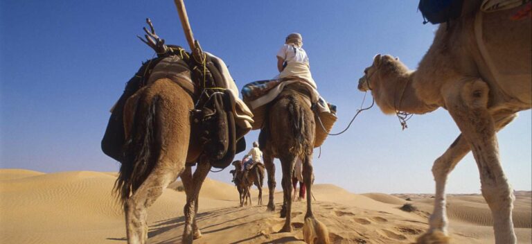 Découvrez le Circuit Sud en Tunisie : Deux Jours et une Nuitée Inoubliables Vous rêvez de vous échapper de la routine quotidienne et d'explorer des paysages époustouflants ? Ne cherchez pas plus loin ! Notre circuit exceptionnel de deux jours et une nuitée dans le Sud de la Tunisie est conçu pour les aventuriers et les amoureux de la découverte. Plongez dans une expérience authentique, entre dunes dorées, oasis verdoyantes et traditions culturelles riches. Jour 1 : À la Conquête des Dunes Matinée : Départ de Tunis vers le Désert Le voyage commence avec enthousiasme, alors que nous quittons Tunis en direction du vaste désert du Sud. Notre équipe expérimentée vous accueillera chaleureusement et veillera à votre confort tout au long du trajet. Admirez les changements subtils du paysage en passant de la ville animée aux premières dunes majestueuses. Midi : Dégustation de Spécialités Locales Une pause bien méritée dans une auberge locale vous offrira un aperçu de la cuisine tunisienne traditionnelle. Savourez des plats délicieux tels que le couscous parfumé et les dattes sucrées. C'est aussi l'occasion de rencontrer des habitants et d'en apprendre davantage sur leurs modes de vie uniques. Après-midi : Aventure dans le Désert Plongez dans l'excitation alors que nous nous aventurons plus profondément dans le désert. Les dunes s'étendent à perte de vue, créant un panorama à couper le souffle. Optez pour une balade à dos de chameau pour une expérience vraiment mémorable. Capturez des photos spectaculaires du coucher du soleil qui baigne le désert de teintes dorées et roses. Nuit : Magie du Campement Sous les Étoiles Lorsque la nuit tombe, vous serez accueilli par le charme d'un campement traditionnel berbère. Les tentes confortables vous offriront un refuge authentique au cœur du désert. Savourez un délicieux repas préparé avec des ingrédients locaux tout en écoutant les histoires captivantes des guides sur la culture et les étoiles qui scintillent au-dessus. Jour 2 : Oasis et Retour Matinée : Lever de Soleil Féérique Soyez témoin d'un spectacle inoubliable : le lever du soleil dans le désert. Les teintes chaudes illuminent lentement les dunes, créant une toile de fond parfaite pour des photos exceptionnelles. Profitez d'un petit-déjeuner revitalisant avant de poursuivre votre aventure. Matinée à Midi : Exploration de l'Oasis Nous mettons le cap vers une oasis cachée, un paradis luxuriant au milieu du désert. Marchez à travers des palmeraies verdoyantes et découvrez les systèmes de canaux traditionnels qui nourrissent cette oasis unique. Rafraîchissez-vous en vous baignant dans les eaux cristallines et laissez-vous émerveiller par la vie qui prospère dans cet environnement apparemment hostile. Après-midi : Retour à Tunis Après une matinée riche en découvertes, il est temps de retourner à Tunis. Vous emporterez avec vous des souvenirs inestimables et une nouvelle appréciation pour la beauté et la diversité de la Tunisie. Notre équipe vous accompagnera jusqu'à votre point de départ avec une promesse de souvenirs durables.