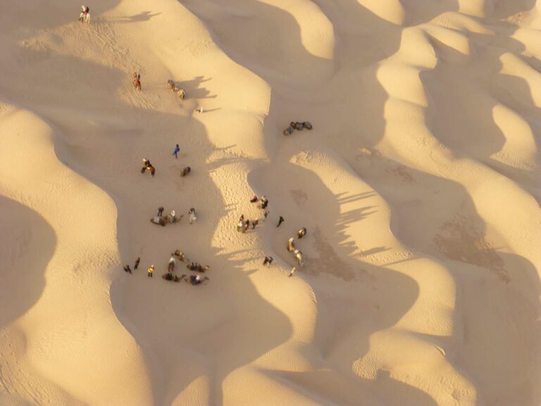 Si vous avez soif d'aventure et que le désert vous appelle, notre excursion à Douz est faite pour vous. Préparez-vous à vivre une expérience unique au milieu des dunes dorées et des horizons infinis. À la Découverte de Douz Bienvenue à Douz, la porte du désert tunisien. Notre aventure commence dans cette charmante oasis, située au sud de la Tunisie. Entourée de sables infinis et de palmeraies luxuriantes, Douz est le point de départ parfait pour explorer les merveilles du désert. Les Dunes à Perte de Vue Le désert de Douz vous offre des dunes à perte de vue, créant un spectacle naturel à couper le souffle. Notre excursion vous permettra de vous enfoncer dans ces dunes majestueuses, de sentir le sable sous vos pieds et de vivre des couchers de soleil qui teintent le ciel de teintes éclatantes. Un paysage qui semble tout droit sorti d'un rêve. Plongez dans l'Histoire L'histoire riche de Douz remonte à des siècles, et notre excursion vous offre une chance de vous plonger dans cette histoire captivante. Des visites guidées vous mèneront à travers des vestiges antiques, des marchés traditionnels et des maisons berbères, vous permettant de découvrir la culture locale et l'héritage qui a survécu à travers les âges. Saveurs du Désert La cuisine locale est une partie incontournable de votre aventure à Douz. Les repas préparés avec amour vous offriront un échantillon authentique des saveurs tunisiennes. Des plats épicés aux douceurs sucrées, chaque bouchée vous rapprochera un peu plus de la culture et des traditions de la région. Aventure et Émerveillement Pour les amateurs d'aventure, Douz offre une palette d'expériences palpitantes. Montez à dos de chameau et laissez-vous porter par la lenteur paisible de ces créatures fascinantes. Les amateurs d'adrénaline ne voudront pas manquer l'opportunité de pratiquer le sandboarding sur les dunes, une expérience qui fera battre votre cœur encore plus fort. Organisation Facilitée Ne vous tracassez pas par les détails logistiques. Notre équipe experte est là pour tout prendre en charge, du transport à l'hébergement en passant par les repas. Vous n'avez qu'à vous concentrer sur l'exploration et la découverte, en sachant que chaque aspect de votre aventure est entre de bonnes mains. Réservez Votre Aventure L'excursion à Douz est une invitation à l'aventure, à la découverte et à l'émerveillement. Ne manquez pas cette opportunité de plonger dans l'âme du désert tunisien. Réservez dès maintenant votre place et préparez-vous à une expérience qui vous laissera des souvenirs impérissables. Nous sommes impatients de vous guider à travers cette aventure extraordinaire.