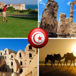 Excursion Désert avec www.sudtunisie.com : Vivez l'aventure de votre vie ! Vous rêvez de vivre une aventure unique au cœur du désert, de découvrir des paysages époustouflants et de plonger dans la culture fascinante du Sud tunisien ? Ne cherchez plus, l'excursion désert avec www.sudtunisie.com est exactement ce qu'il vous faut ! Suivez-nous pour un voyage inoubliable, à la découverte des merveilles cachées du désert. Plongez dans l'univers envoûtant du désert tunisien Dès votre arrivée dans le Sud tunisien, vous serez immédiatement séduit par la beauté saisissante des paysages désertiques. Les dunes majestueuses s'étendent à perte de vue, créant un tableau naturel aux nuances dorées éblouissantes. C'est un paradis pour les amoureux de la photographie qui pourront capturer des clichés à couper le souffle. Mais l'excursion désert avec www.sudtunisie.com ne se limite pas seulement aux dunes. Vous explorerez également des oasis cachées, véritables joyaux de verdure au milieu du désert aride. Vous pourrez vous ressourcer dans ces havres de paix, entourés de palmiers et de végétation luxuriante. Une immersion culturelle authentique L'un des points forts de cette excursion est la rencontre avec les habitants du désert. Les nomades locaux vous accueilleront chaleureusement et vous feront découvrir leur mode de vie traditionnel. Vous partagerez des moments uniques en échangeant avec eux, en découvrant leurs coutumes et leurs savoir-faire artisanaux. Chez www.sudtunisie.com, nous croyons en un tourisme responsable qui respecte la culture et l'environnement. Nous mettons un point d'honneur à créer des expériences authentiques, où les voyageurs peuvent réellement s'immerger dans la vie locale. Des activités palpitantes pour tous les goûts L'excursion désert avec www.sudtunisie.com offre une variété d'activités pour satisfaire toutes vos envies d'aventure. Les amateurs de sensations fortes apprécieront les safaris en 4x4 à travers les dunes. Des montées d'adrénaline garanties ! Si vous préférez une approche plus contemplative, les randonnées à pied dans le désert sont une option parfaite. Vous découvrirez des endroits reculés, loin des sentiers battus, et vous serez émerveillé par la nature sauvage qui vous entoure. Et bien sûr, comment parler d'une excursion dans le désert sans évoquer les balades à dos de chameau ? Une expérience inoubliable qui vous transportera dans le temps, vous faisant revivre l'époque des caravanes traversant les terres désertiques. Des nuits étoilées magiques en plein désert Les soirées dans le désert sont tout aussi extraordinaires que les journées. Sous un ciel dégagé, vous serez émerveillé par le spectacle céleste des milliers d'étoiles qui brillent avec intensité. Une expérience magique à ne pas manquer ! Les bivouacs en plein désert sont également prévus au programme. Vous pourrez vous détendre autour du feu, savourer des repas traditionnels savoureux et écouter les récits fascinants des guides qui partageront avec vous leur passion pour le désert. Préparez-vous pour une aventure inoubliable ! Pour profiter pleinement de votre excursion désert avec www.sudtunisie.com, il est essentiel de bien vous préparer. Munissez-vous de vêtements adaptés aux variations de température entre le jour et la nuit. Une paire de chaussures confortables est également recommandée pour vos explorations dans le sable. N'oubliez pas de rester hydraté en emportant suffisamment d'eau tout au long de votre périple. Et bien sûr, n'oubliez pas votre appareil photo pour immortaliser ces moments magiques que vous vivrez. Conclusion En choisissant l'excursion désert avec www.sudtunisie.com, vous optez pour une aventure hors du commun, une immersion culturelle enrichissante et des paysages à couper le souffle. Chez nous, l'authenticité, le respect de l'environnement et le plaisir des voyageurs sont au cœur de nos préoccupations. Alors, prêt pour une expérience inoubliable dans le désert du Sud tunisien ? Laissez-vous séduire par la magie de ces étendues sauvages et partez à la découverte de vous-même au milieu de ce cadre exceptionnel.