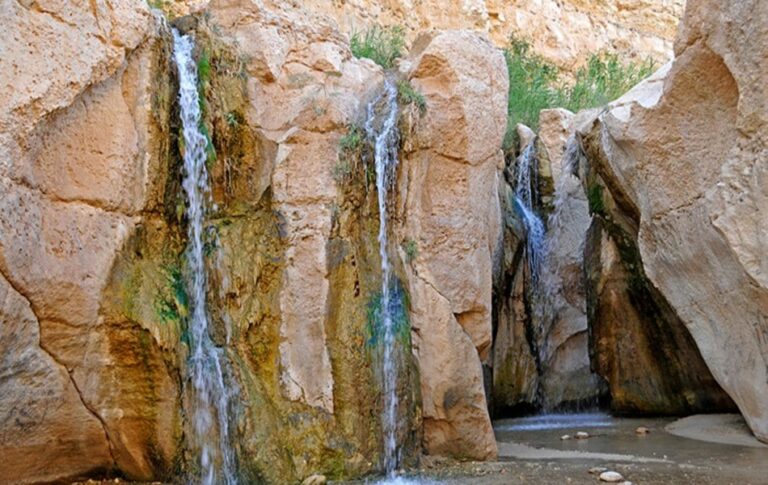 Excursion Désert avec www.sudtunisie.com : Vivez une aventure exceptionnelle ! Vous avez toujours rêvé de vous perdre dans les étendues sans fin du désert, de vivre des moments magiques sous un ciel étoilé et d'explorer des oasis secrètes ? Ne cherchez plus ! L'excursion désert avec www.sudtunisie.com vous promet une expérience inoubliable au cœur du Sud tunisien. Suivez-nous dans cette aventure épique et découvrez tout ce qui vous attend. Au cœur des dunes majestueuses L'excursion désert avec www.sudtunisie.com vous offre l'opportunité de plonger au cœur de paysages envoûtants. Les dunes majestueuses s'étendent à perte de vue, formant des montagnes de sable doré sculptées par les vents du désert. Vous aurez l'impression de vous retrouver au milieu d'un océan de sable, avec une vue à couper le souffle. Une expérience unique en 4x4 Une des activités phares de cette excursion est le safari en 4x4. Grâce à www.sudtunisie.com, vous pourrez parcourir le désert dans un véhicule tout-terrain, vivant des sensations fortes et des montées d'adrénaline. Les dunes deviendront votre terrain de jeu, et vous vous sentirez comme un explorateur moderne au cœur de cette nature sauvage. À la rencontre de la culture locale L'excursion désert avec www.sudtunisie.com ne se limite pas à l'exploration des paysages époustouflants. C'est aussi une occasion unique de découvrir la culture locale et d'échanger avec les populations du désert. Partagez la vie des nomades Vous aurez la chance de rencontrer des nomades, chaleureux et accueillants, qui vous feront découvrir leur mode de vie traditionnel. Vous partagerez des moments privilégiés avec eux, en apprenant leurs coutumes et leur artisanat ancestral. Une immersion totale dans une culture riche et authentique. Des nuits sous les étoiles L'un des moments les plus magiques de cette excursion est sans aucun doute les nuits passées sous un ciel étoilé scintillant. Loin de la pollution lumineuse des villes, vous serez ébloui par la beauté du firmament. Bivouacs traditionnels Grâce à www.sudtunisie.com, vous dormirez dans des bivouacs traditionnels. Vous partagerez des instants conviviaux autour du feu, dégustant des mets locaux savoureux et écoutant les récits envoûtants des guides, riches en histoires et en traditions du désert. Préparez-vous pour l'aventure ! Pour profiter pleinement de l'excursion désert avec www.sudtunisie.com, quelques préparatifs sont de mise. Tenue adaptée Assurez-vous d'emporter des vêtements légers pour la chaleur du jour et des vêtements chauds pour les nuits fraîches. N'oubliez pas de vous protéger du soleil avec un chapeau et de porter des chaussures confortables pour les balades. Hydratation Le désert peut être impitoyable en termes de chaleur. Prévoyez suffisamment d'eau pour rester hydraté tout au long de l'excursion. Conclusion L'excursion désert avec www.sudtunisie.com est une aventure extraordinaire qui vous fera vivre des moments uniques et mémorables. Des dunes majestueuses aux nuits étoilées, en passant par la découverte de la culture locale, cette excursion vous laissera des souvenirs gravés à jamais dans votre esprit. Alors, préparez-vous à explorer le désert tunisien dans toute sa splendeur et embarquez pour une expérience inoubliable avec www.sudtunisie.com !