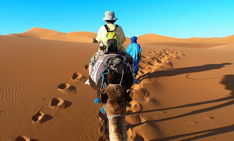 Circuit Sud Tunisie : Explorez les Trésors Cachés du Désert Si vous rêvez d'une escapade époustouflante, plongez dans l'aventure en optant pour un circuit dans le sud de la Tunisie. Préparez-vous à une expérience riche en découvertes, à la rencontre de cultures fascinantes et à des paysages à couper le souffle. À la Découverte du Sud Tunisien Notre circuit vous emmène au cœur de la beauté intemporelle du sud de la Tunisie. Des oasis verdoyantes aux dunes de sable doré, en passant par les villes historiques, chaque étape vous réserve une surprise unique qui vous laissera des souvenirs inoubliables. L'Émerveillement des Oasis Les oasis du sud tunisien sont des joyaux cachés au milieu du désert aride. Imaginez-vous vous promenant à travers des palmeraies luxuriantes, découvrant des sources d'eau fraîche et écoutant le doux murmure des feuilles de palmier. Une expérience de tranquillité et de beauté naturelle à ne pas manquer. Les Villes du Sud : Histoire et Charme Chaque ville du sud de la Tunisie a son propre récit à raconter. De Douz à Tozeur en passant par Tataouine, plongez dans des rues étroites, des marchés colorés et des bâtiments en terre qui témoignent du riche patrimoine culturel de la région. Laissez-vous séduire par l'atmosphère authentique de ces villes chargées d'histoire. À la Rencontre des Nomades L'une des expériences les plus mémorables de ce circuit est la rencontre avec les nomades du désert. Apprenez-en davantage sur leur mode de vie, leurs traditions et leur relation profonde avec la nature. Vous aurez l'occasion de partager des moments uniques avec ces habitants du désert, une expérience qui changera votre perspective sur le monde. Aventure et Détente Ce circuit n'est pas seulement une aventure, c'est aussi une escapade relaxante. Profitez de bains dans des sources thermales naturelles, reposez-vous dans des hébergements confortables et dégustez une cuisine locale délicieuse. Chaque journée est équilibrée entre découverte et moments de détente. Réservez Votre Circuit dès Aujourd'hui Ne manquez pas l'opportunité de vivre cette aventure exceptionnelle dans le sud de la Tunisie. Réservez votre circuit dès aujourd'hui sud www.sudtunisie.com et préparez-vous à une expérience qui vous laissera émerveillé et enrichi. Notre équipe est prête à vous guider à travers cette aventure unique, où chaque jour apporte son lot de découvertes et de souvenirs à chérir.