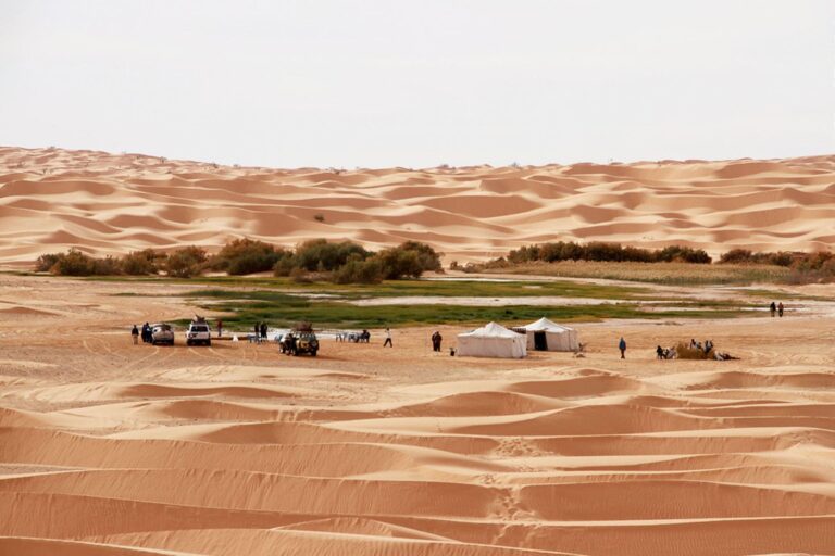 Excursion dans le Désert Tunisien : Une Aventure Inoubliable Si vous êtes en quête d'une aventure authentique et mémorable, une excursion dans le désert tunisien est le choix idéal. Préparez-vous à vous immerger dans des paysages à couper le souffle, à découvrir la culture locale et à vivre des expériences uniques que vous chérirez pour toujours. Notre équipe est là pour vous guider à travers cette expérience exceptionnelle, vous offrant des moments inoubliables au cœur du désert. Découvrez la Magie des Dunes Les dunes de sable qui s'étendent à perte de vue sont l'essence même du désert tunisien. Lors de notre excursion, vous aurez l'occasion de gravir ces majestueuses dunes et de contempler des panoramas à couper le souffle. Imaginez-vous au sommet d'une dune, observant le soleil se coucher à l'horizon, peignant le ciel de nuances chaudes et dorées. C'est une expérience qui vous connectera profondément à la beauté de la nature. Rencontrez les Habitants du Désert Une excursion dans le désert tunisien ne se limite pas seulement à ses paysages incroyables. C'est aussi une opportunité de rencontrer les habitants locaux et d'en apprendre davantage sur leur mode de vie. Vous aurez la chance de partager des moments authentiques avec les nomades du désert, d'écouter leurs histoires et de comprendre comment ils ont su s'adapter à un environnement aussi exigeant. Une Plongée dans la Culture Locale Lors de notre excursion, nous vous invitons à plonger dans la richesse de la culture tunisienne. Vous découvrirez des traditions anciennes, des coutumes uniques et une cuisine délicieuse qui vous laissera des souvenirs gustatifs mémorables. Que ce soit à travers la musique, la danse ou l'artisanat local, chaque moment passé dans le désert sera une occasion de vous immerger dans une culture riche et diverse. Aventure et Adrénaline Si vous êtes un amateur d'aventure et d'adrénaline, notre excursion dans le désert tunisien saura également vous combler. Partez à dos de chameau pour une expérience à la fois excitante et traditionnelle. Vous traverserez les dunes comme les caravanes d'antan, sentant le rythme paisible de ces majestueux animaux sous vous. De plus, le désert offre des opportunités uniques pour les activités telles que le sandboarding, pour les plus audacieux. Organisation Sans Souci Nous comprenons que l'organisation d'un voyage peut être stressante. C'est pourquoi notre équipe expérimentée est là pour prendre en charge tous les détails de votre excursion dans le désert tunisien. Depuis le transport jusqu'au logement et aux repas, tout est planifié pour que vous puissiez profiter pleinement de chaque instant. Il vous suffit de vous détendre et de vous laisser porter par cette expérience exceptionnelle. Réservez Votre Aventure Dès Maintenant Ne manquez pas l'opportunité de vivre une aventure inoubliable dans le désert tunisien. Réservez dès maintenant votre excursion avec nous et préparez-vous à des moments de découverte, d'émerveillement et d'authenticité. Nous sommes impatients de vous accompagner dans cette aventure unique qui restera gravée dans vos souvenirs pour les années à venir.