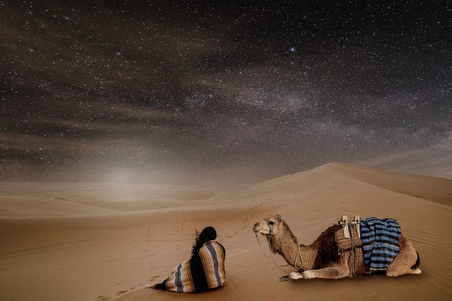 Circuit Sud Tunisie : Trois Jours et Deux Nuitées d'Exploration Inoubliable Si l'idée de vous évader vers des horizons ensoleillés, des dunes majestueuses et des oasis cachées vous séduit, préparez-vous à plonger dans notre incroyable circuit de trois jours et deux nuitées dans le Sud de la Tunisie. Notre expérience exceptionnelle est conçue pour les aventuriers, les amoureux de la nature et les passionnés de découvertes. Attachez vos ceintures, car nous embarquons pour un voyage mémorable ! Jour 1 : De Tunis à l'Aventure Matin : Le Départ Épique Le voyage commence avec un départ enthousiaste de Tunis. Laissez derrière vous le tumulte de la ville et embrassez l'appel du désert. Notre équipe experte sera à vos côtés pour garantir un trajet confortable et agréable. Asseyez-vous, détendez-vous et admirez le paysage qui se transforme progressivement sous vos yeux. Midi : Festin pour les Papilles La route ouvre l'appétit, n'est-ce pas ? Arrêtez-vous dans une auberge locale pour un repas qui vous plongera dans les délices de la cuisine tunisienne. Entre couscous parfumé et saveurs épicées, vous aurez un avant-goût des délices qui vous attendent dans les jours à venir. Après-midi : Dans les Dunes, la Magie Opère Les dunes dorées s'étendent à l'infini alors que nous pénétrons plus profondément dans le désert. Choisissez l'aventure en chevauchant un chameau, ou explorez à pied pour sentir le sable chaud sous vos pieds. Les dunes ne sont pas seulement des monticules de sable, ce sont des sculptures vivantes façonnées par le vent. Prenez des photos étonnantes à chaque pas. Nuit : Sous les Étoiles, une Expérience Magique Lorsque le soleil se couche, le vrai spectacle commence. Un campement berbère traditionnel vous attend, illuminé par les étoiles scintillantes. Goûtez à une cuisine locale délicieuse, préparée avec amour, tout en vous imprégnant des récits fascinants de nos guides sur la culture et l'histoire de la région. Jour 2 : Oasis Émeraude et Découvertes Matin : Salutation au Soleil Le lever du soleil dans le désert est une expérience presque mystique. Les dunes prennent vie sous les rayons dorés et les ombres dansantes créent un spectacle à couper le souffle. Commencez la journée en énergisant votre corps avec un petit-déjeuner savoureux et nourrissant. Matin à Midi : L'Oasis Cachée La journée vous réserve une escapade vers une oasis secrète, une perle de verdure au cœur du désert. Les palmiers se balancent doucement, créant une oasis d'ombre et de fraîcheur. Explorez les chemins sinueux à travers la végétation luxuriante, découvrez les canaux d'irrigation ancestraux et profitez d'une baignade rafraîchissante dans les eaux cristallines. Après-midi : Le Retour Toutes les bonnes choses ont une fin, mais le voyage n'est pas encore terminé. Revenez vers Tunis avec des souvenirs gravés dans votre esprit et votre cœur. Laissez derrière vous les empreintes de vos pas dans le sable du désert et les rires partagés autour du feu de camp. Conclusion : Des Souvenirs à Chérir Notre circuit de trois jours et deux nuitées dans le Sud de la Tunisie est bien plus qu'un simple voyage. C'est une aventure qui vous relie à la nature, à la culture et à votre propre esprit d'exploration. Préparez-vous à être émerveillé, à vous émerveiller et à créer des souvenirs inoubliables qui vous accompagneront bien au-delà de votre retour à la maison.