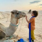 Découvrir la Splendeur du Sud Tunisien : Entre Paysages Époustouflants et Patrimoine Culturel Si vous êtes en quête d'aventures authentiques et de découvertes hors des sentiers battus, le Sud Tunisien s'offre à vous tel un trésor caché, attendant d'être exploré. Des dunes de sable ondoyantes aux villes historiques chargées d'histoire, cette région regorge de merveilles qui ne demandent qu'à être révélées. Dans cet article, plongeons dans le cœur de cette contrée envoûtante et découvrons ce qui en fait une destination incontournable. Sable à perte de vue : L'Émerveillement du Sahara Lorsque l'on évoque le Sud Tunisien, c'est le Sahara qui se profile à l'horizon, une étendue désertique à couper le souffle. Les dunes de sable doré s'étendent à perte de vue, créant un paysage à la fois majestueux et apaisant. Parmi les lieux emblématiques, les dunes de l'Erg Chebbi se dressent comme des montagnes de sable, offrant aux voyageurs des opportunités de trekking et de contemplation uniques. Rencontre avec l'Histoire : Les Oasis et Ksour Le Sud Tunisien ne se limite pas à son désert captivant. Les oasis émergent comme des joyaux verdoyants au cœur de cette aridité. Des palmeraies luxuriantes, telles que celles de Tozeur et de Nefta, créent un contraste saisissant avec le désert environnant. Les Ksour, ces villages fortifiés traditionnels, sont également à explorer. Le Ksar Ouled Soltane et le Ksar Ghilane racontent des histoires ancestrales à travers leur architecture unique. Les Mille et une Nuits : Nuits dans le Désert Pour une expérience authentique et mémorable, rien ne vaut une nuit sous les étoiles du désert. Les campements nomades offrent une immersion totale dans le mode de vie des habitants du désert. À la lueur des étoiles scintillantes, laissez-vous bercer par le chant du vent dans les dunes et savourez des plats traditionnels autour du feu de camp. Artisanat et Couleurs du Sud La culture vibrante du Sud Tunisien s'exprime à travers son artisanat et ses marchés colorés. Les souks regorgent de tapis berbères tissés à la main, de poteries ornées et de bijoux étincelants. Ne manquez pas le marché de Matmata, où l'artisanat local reflète l'identité profonde de la région.  Le Sud Tunisien, une Aventure Sans Fin En somme, le Sud Tunisien est bien plus qu'une destination touristique. C'est une invitation à l'aventure, à l'exploration de paysages saisissants et à l'immersion dans une culture riche et captivante. Entre désert envoûtant, oasis verdoyantes et traditions authentiques, chaque instant passé dans cette région est une évasion hors du temps. Alors, que vous soyez un voyageur intrépide en quête de découvertes ou simplement en quête de dépaysement, le Sud Tunisien vous accueille à bras ouverts.