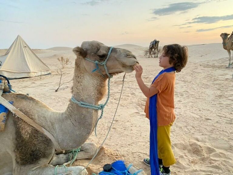 Découvrir la Splendeur du Sud Tunisien : Entre Paysages Époustouflants et Patrimoine Culturel Si vous êtes en quête d'aventures authentiques et de découvertes hors des sentiers battus, le Sud Tunisien s'offre à vous tel un trésor caché, attendant d'être exploré. Des dunes de sable ondoyantes aux villes historiques chargées d'histoire, cette région regorge de merveilles qui ne demandent qu'à être révélées. Dans cet article, plongeons dans le cœur de cette contrée envoûtante et découvrons ce qui en fait une destination incontournable. Sable à perte de vue : L'Émerveillement du Sahara Lorsque l'on évoque le Sud Tunisien, c'est le Sahara qui se profile à l'horizon, une étendue désertique à couper le souffle. Les dunes de sable doré s'étendent à perte de vue, créant un paysage à la fois majestueux et apaisant. Parmi les lieux emblématiques, les dunes de l'Erg Chebbi se dressent comme des montagnes de sable, offrant aux voyageurs des opportunités de trekking et de contemplation uniques. Rencontre avec l'Histoire : Les Oasis et Ksour Le Sud Tunisien ne se limite pas à son désert captivant. Les oasis émergent comme des joyaux verdoyants au cœur de cette aridité. Des palmeraies luxuriantes, telles que celles de Tozeur et de Nefta, créent un contraste saisissant avec le désert environnant. Les Ksour, ces villages fortifiés traditionnels, sont également à explorer. Le Ksar Ouled Soltane et le Ksar Ghilane racontent des histoires ancestrales à travers leur architecture unique. Les Mille et une Nuits : Nuits dans le Désert Pour une expérience authentique et mémorable, rien ne vaut une nuit sous les étoiles du désert. Les campements nomades offrent une immersion totale dans le mode de vie des habitants du désert. À la lueur des étoiles scintillantes, laissez-vous bercer par le chant du vent dans les dunes et savourez des plats traditionnels autour du feu de camp. Artisanat et Couleurs du Sud La culture vibrante du Sud Tunisien s'exprime à travers son artisanat et ses marchés colorés. Les souks regorgent de tapis berbères tissés à la main, de poteries ornées et de bijoux étincelants. Ne manquez pas le marché de Matmata, où l'artisanat local reflète l'identité profonde de la région.  Le Sud Tunisien, une Aventure Sans Fin En somme, le Sud Tunisien est bien plus qu'une destination touristique. C'est une invitation à l'aventure, à l'exploration de paysages saisissants et à l'immersion dans une culture riche et captivante. Entre désert envoûtant, oasis verdoyantes et traditions authentiques, chaque instant passé dans cette région est une évasion hors du temps. Alors, que vous soyez un voyageur intrépide en quête de découvertes ou simplement en quête de dépaysement, le Sud Tunisien vous accueille à bras ouverts.