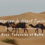 Excursion Tozeur : Découvrez le Joyau du Désert Tunisien Si vous rêvez d'évasion, d'aventure et de découvertes inoubliables, notre excursion à Tozeur est faite pour vous. Plongez au cœur du désert tunisien et explorez les merveilles de cette région fascinante. Laissez-nous vous emmener dans un voyage où la nature spectaculaire et la culture envoûtante se rencontrent pour créer des souvenirs durables. À la Découverte de Tozeur Bienvenue à Tozeur, une oasis nichée au milieu des dunes dorées du désert. Notre excursion vous fera découvrir la beauté unique de cette ville pittoresque. De la médina traditionnelle aux ruelles étroites, en passant par les palmeraies luxuriantes, chaque coin de Tozeur raconte une histoire fascinante. Explorez les Palmeraies à Dos de Chameau L'une des expériences les plus mémorables de notre excursion est la promenade à dos de chameau à travers les palmeraies de Tozeur. Installez-vous confortablement et laissez-vous bercer par le rythme paisible de ces majestueux animaux. Les palmiers se dressent autour de vous, créant une atmosphère sereine et enchanteresse. Une expérience à la fois authentique et apaisante. Plongez dans l'Histoire à Dar Chrait Notre itinéraire vous mènera également à Dar Chrait, un musée vivant qui vous transporte dans le temps. Les expositions présentent des objets et des artefacts traditionnels qui vous permettent de mieux comprendre le mode de vie des habitants du désert. Cette immersion dans l'histoire locale est une occasion unique de découvrir la culture de Tozeur sous un nouvel angle. Laissez-vous Émerveiller par les Cascades d'Ong Jmal Les cascades d'Ong Jmal sont un véritable trésor caché dans le désert. Leur beauté naturelle et rafraîchissante contraste avec l'aridité environnante. Profitez d'une balade revigorante jusqu'aux cascades et offrez-vous un moment de détente sous les chutes d'eau. C'est une expérience à la fois rafraîchissante et apaisante, parfaite pour échapper à la chaleur du désert. Goûtez aux Saveurs Authentiques La cuisine de Tozeur est un mélange délicieux de saveurs locales et de traditions culinaires anciennes. Au cœur de notre excursion, vous aurez l'occasion de déguster des plats traditionnels préparés avec soin par les habitants. De délicieux tajines aux pâtisseries sucrées, chaque bouchée est une invitation à découvrir la culture tunisienne à travers ses saveurs uniques. Une Aventure Inoubliable Vous Attend Notre équipe expérimentée se consacre à rendre votre excursion à Tozeur inoubliable. Chaque détail est pris en charge pour que vous puissiez vous concentrer sur l'exploration et la découverte. Des guides locaux passionnés vous accompagneront tout au long du voyage, partageant leur connaissance intime de la région et vous garantissant une expérience enrichissante. Réservez Votre Place Dès Maintenant Ne laissez pas cette opportunité unique vous échapper. Réservez dès maintenant votre place pour notre excursion à Tozeur et préparez-vous à une aventure captivante. Plongez dans la culture, la nature et l'histoire du désert tunisien et créez des souvenirs qui dureront toute une vie. Nous avons hâte de vous accueillir dans cette aventure extraordinaire.